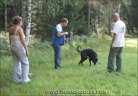 Summer training camp in Finland 2007